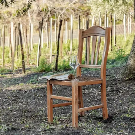 Cozy With Private Vineyard