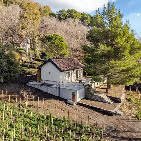 Cozy With Private Vineyard Nicolosi